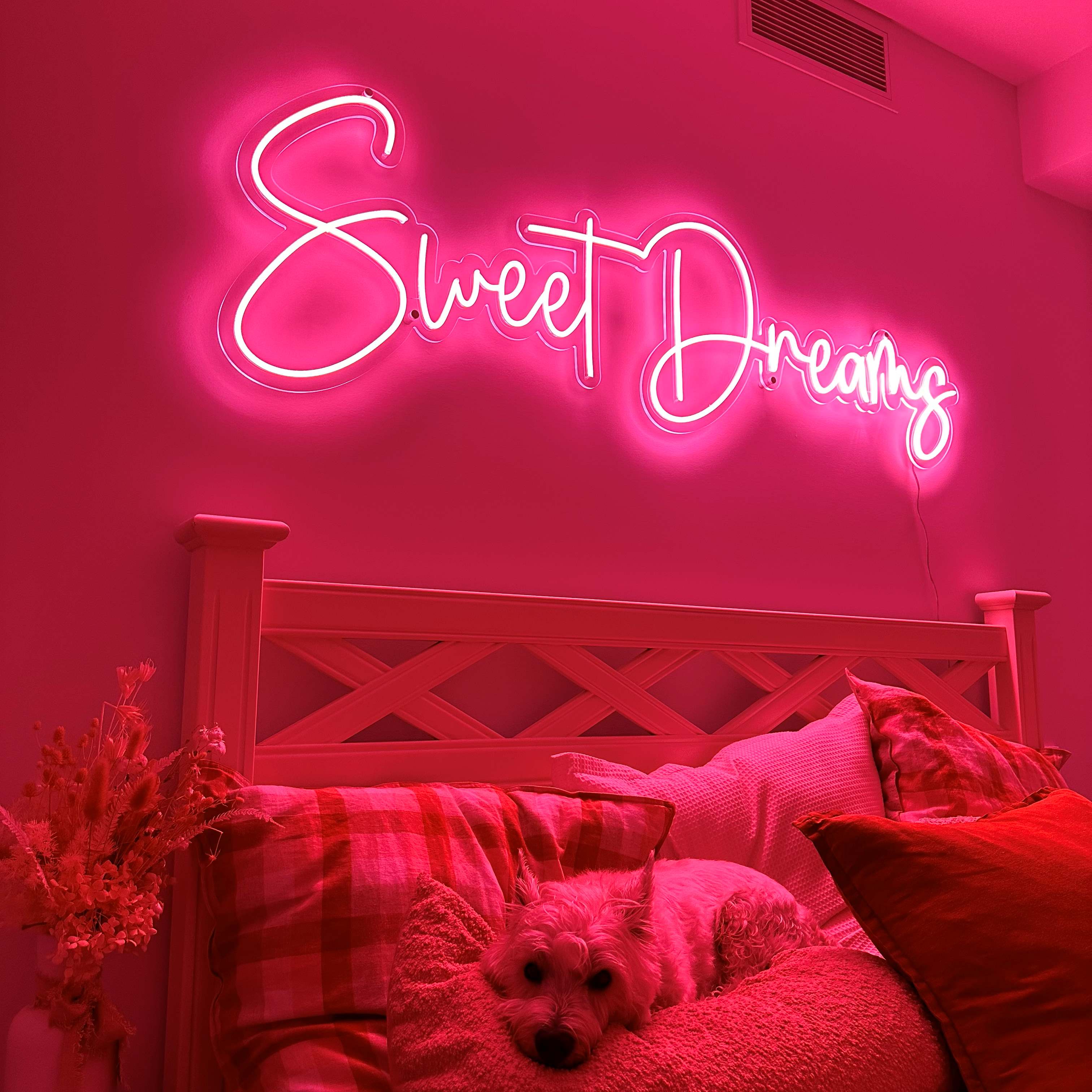 Decor Neons