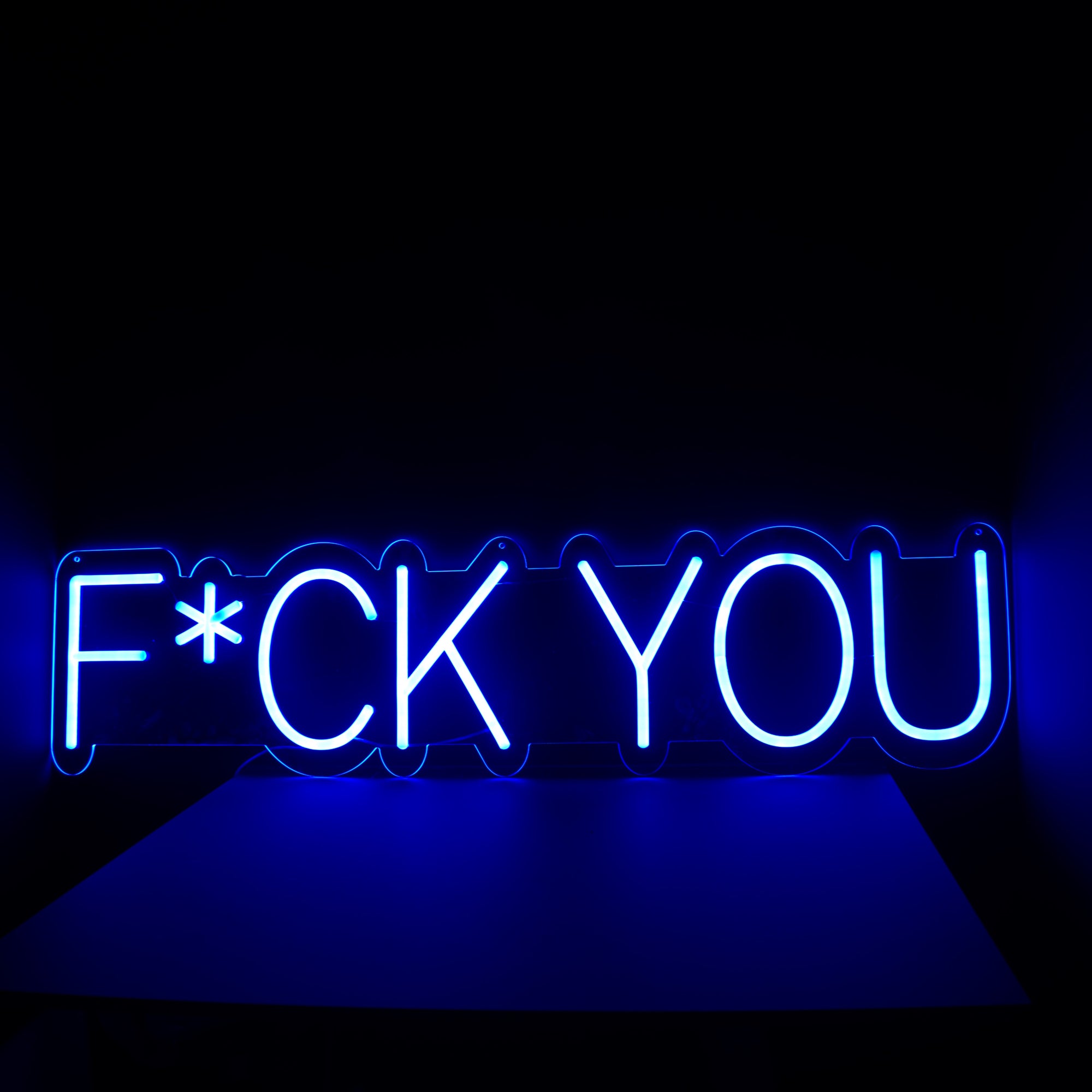 F*CK YOU NEON SIGN