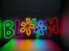 Multi coloured bloom neon with colourful reflection 